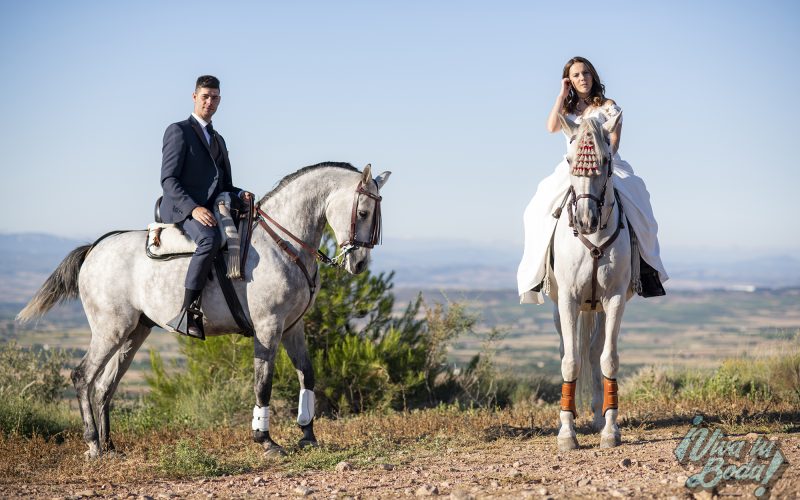 Fotógrafos de bodas en Logroño