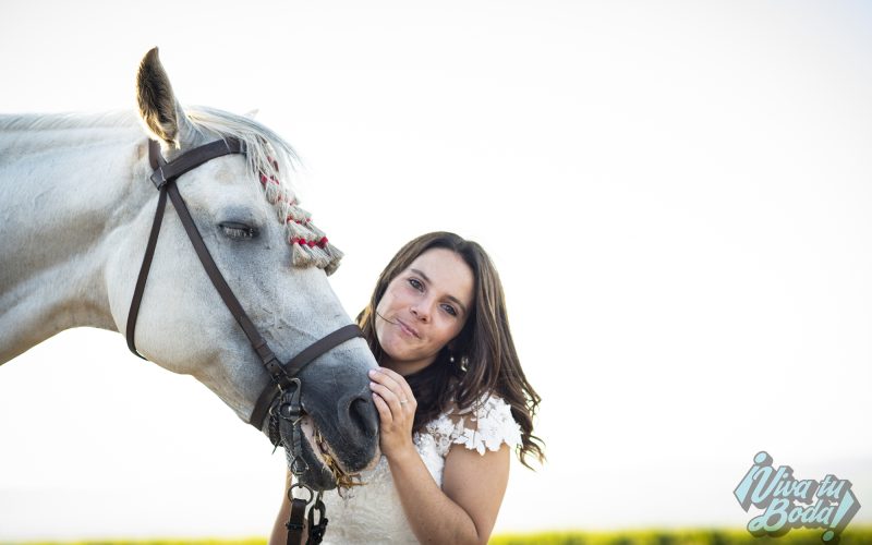 Fotógrafos de bodas en Logroño