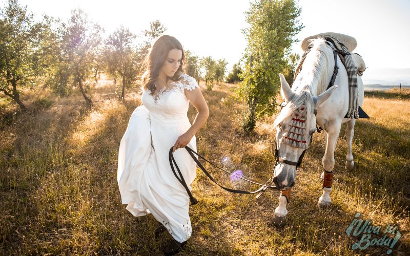 Fotógrafos de bodas en Logroño