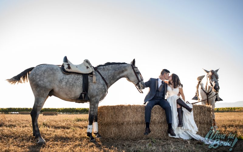 Fotógrafos de bodas en Logroño