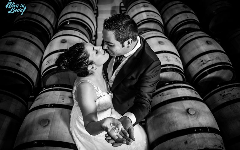 Fotógrafos de bodas en Logroño