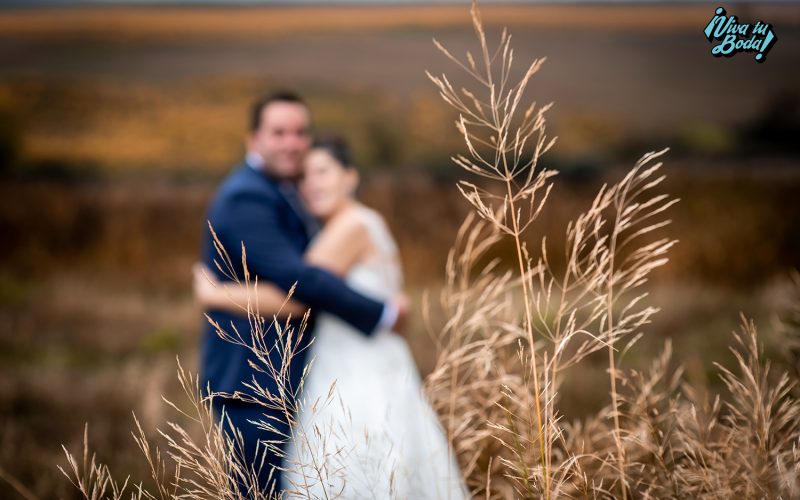 Fotógrafos de bodas en Logroño