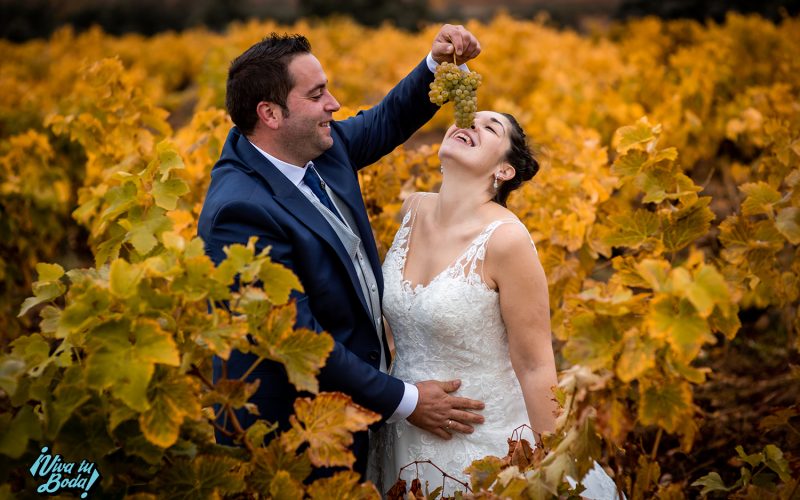 Fotógrafos de bodas en Logroño