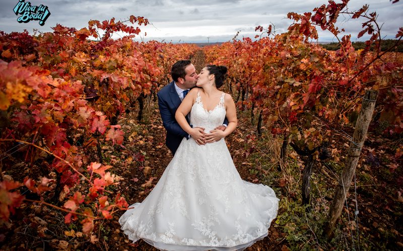 Fotógrafos de bodas en Logroño