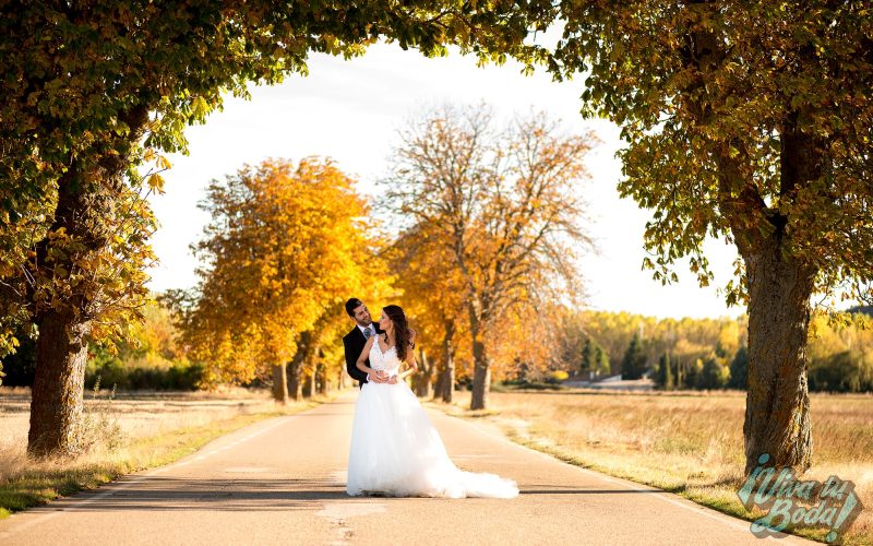 Fotos de boda y postboda urbanos en Burgos y La Rioja